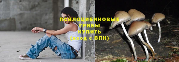 спайс Мегион