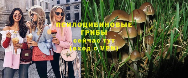 спайс Мегион