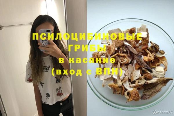 тгк Медвежьегорск