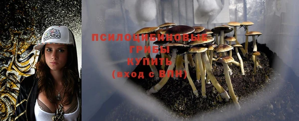 тгк Медвежьегорск